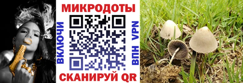 где купить наркоту  Северо-Курильск  Псилоцибиновые грибы Cubensis 